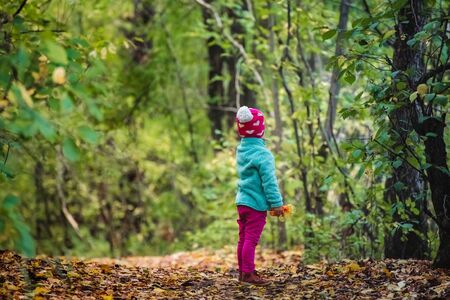Rear view child looking forward standing alone in forest