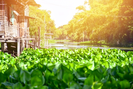 View from raft on canal in Thailand.の写真素材