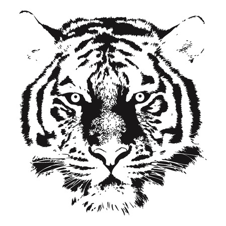 Tiger head Vectorのイラスト素材