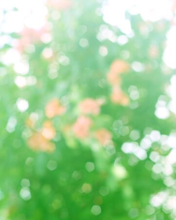 abstract green Bokeh circles background, Natural Bokeh, glitter light Defocused and Blurred Bokehの写真素材