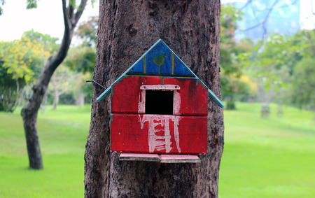 Colorful Bird Houses in the park Hanging on a tree, old bird house in park, bird house with natural...