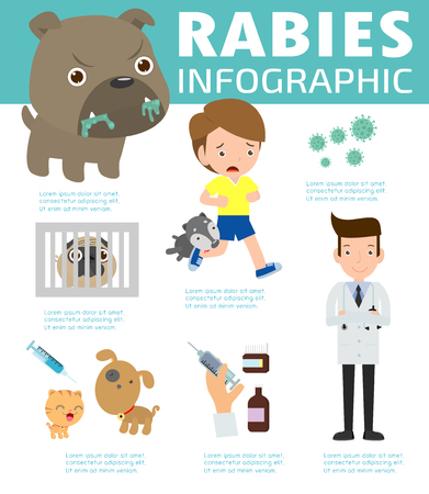 Rabies infographic, Illustration of rabies describing symptoms and medications or vaccine. cartoon Infographic Vector illustrationのイラスト素材