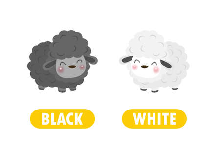 Opposite black and white Words antonym for children with cartoon characters cute little sheep, funny animal Flat vector illustration isolated on white backgroundのイラスト素材
