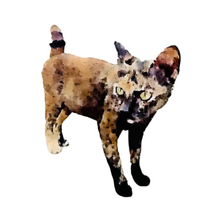 Watercolor painting cute Cat Hand Drawn Pet, Kitten painting illustration, abstract brush drawing on wet paper. banner template Isolated on White Background vector Illustrationのイラスト素材