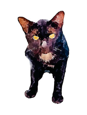 Watercolor painting cute Cat Hand Drawn Pet, Kitten painting illustration, abstract brush drawing on wet paper. banner template Isolated on White Background vector Illustrationのイラスト素材