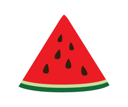 watermelon Slice. Concept of healthy lifestyle and ripe fruits isolated on white background flat design vector illustrationのイラスト素材