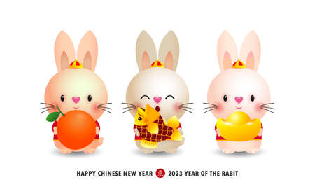 Happy Chinese new year 2023 banner little cute rabbit holding mandarin orange, gold ingots and fish, year of the rabbit zodiac, brochure, calendar background vector design, Translaのイラスト素材