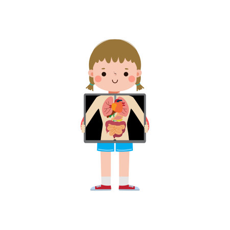 cute cartoon european kid with x-ray screen showing internal organs and skeleton. x ray check bones child, infographics for kid Vector illustration isolated on white backgroundのイラスト素材