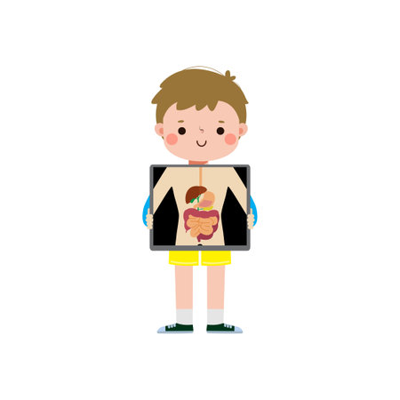 cute cartoon european kid with x-ray screen showing internal organs and skeleton. x ray check bones child, infographics for kid Vector illustration isolated on white backgroundのイラスト素材