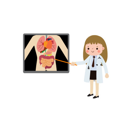 cute cartoon european woman doctorwith x-ray screen showing internal organs and skeleton. x ray check bones infographics Vector illustration isolated on white backgroundのイラスト素材