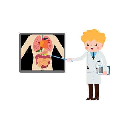 cute cartoon american doctor with x-ray screen showing internal organs and skeleton. x ray check bones infographics Vector illustration isolated on white backgroundのイラスト素材