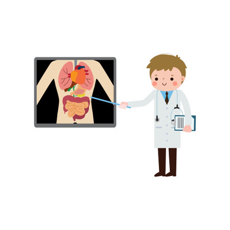 cute cartoon european doctor with x-ray screen showing internal organs and skeleton. x ray check bones infographics Vector illustration isolated on white backgroundのイラスト素材
