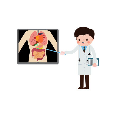 cute cartoon asian doctor with x-ray screen showing internal organs and skeleton. x ray check bones infographics Vector illustration isolated on white backgroundのイラスト素材