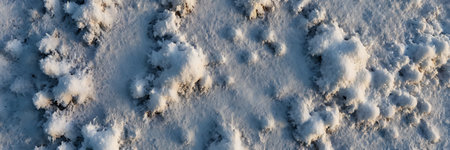 Snow texture. Snowflakes on the ground. Winter background.の素材