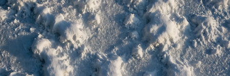 Snow texture. Winter background. Top view. 3d rendering.の素材