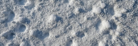 Snow texture. Winter background with snowflakes. Snow texture. Snowflakes on the snow.の素材