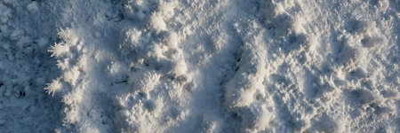 Snow texture. Winter background. Snowflakes on the ground.の素材