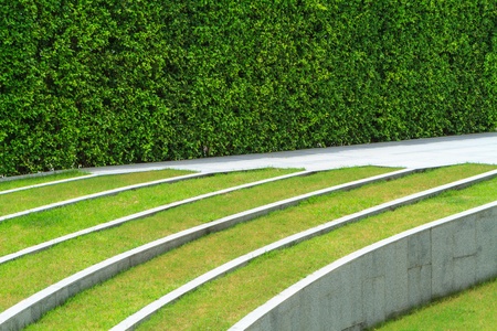 green grass and white line with spaceの写真素材