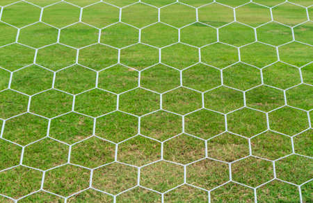 Soccer Goal Net with Green Grass Backgroundの写真素材