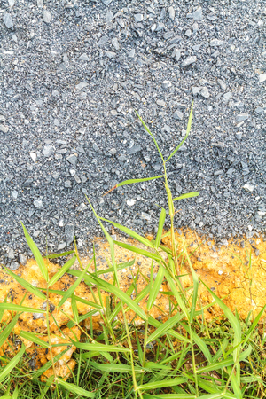 rock and yellow sand backgroundの写真素材