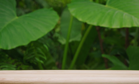 empty top table of pine wood texture in tropical garden fresh green plant blurred background with...