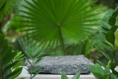 empty rock stone podium texture in tropical outdoor garden green plant soft sunlight blur background with space.organic healthy natural product present promotion display,nature forest jungle design.の写真素材