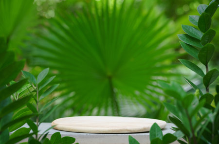 empty wood podium concrete table texture in tropical outdoor nature garden forest green plant golden sunlight jungle background with space.organic healthy natural product present promotion display.の写真素材