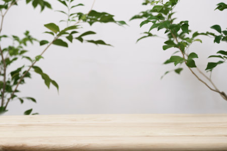 empty wooden tabletop with tree branch fresh green leaf white space background.organic healthy natural product present scene promotion show display,spring banner concept design.の写真素材