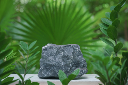 empty rock stone podium texture in tropical outdoor garden green plant soft sunlight blur background...