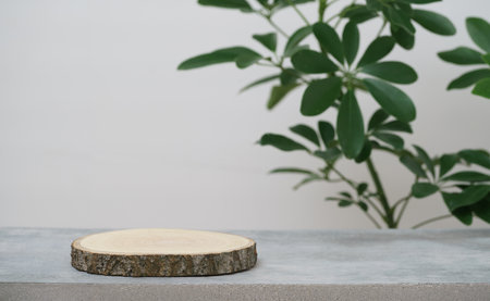 empty wooden podium texture on cement tabletop with fresh green leaf white space background.organic...
