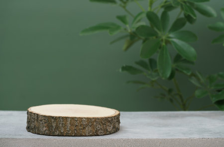 empty wooden podium texture on cement tabletop with fresh green leaf white space background.organic healthy natural product pedestal platform promotion show display,spring banner concept design.の写真素材