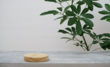 empty wooden podium texture on cement tabletop with fresh green leaf white space background.organic healthy natural product pedestal platform promotion show display,spring banner concept design.の写真素材