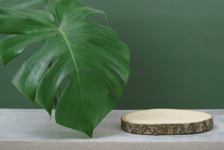 empty wooden podium texture on cement tabletop with monstera leaf dark green space background.organic healthy natural product pedestal platform promotion show display, summer banner concept design.の写真素材