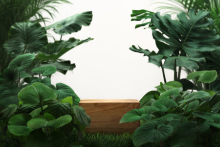 empty  wooden podium on dark green grass tropical garden forest blurred leafs plant white background with space.organic product present natural placement pedestal display,spring and summer concept.の写真素材