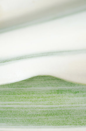Close up macro sansevieria trifasciata cv pattern leave texture abstract background.Leaf minimal desktop wallpaper,nature flora botanical summer plant backdrop,banner website cover design.の写真素材