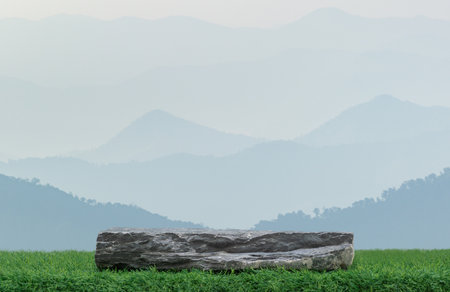 Stone granite podium rock table top on green grass with outdoor mountain scene nature landscape at sunrise background.Natural organic beauty or healthy product placement presentation pedestal display.の写真素材