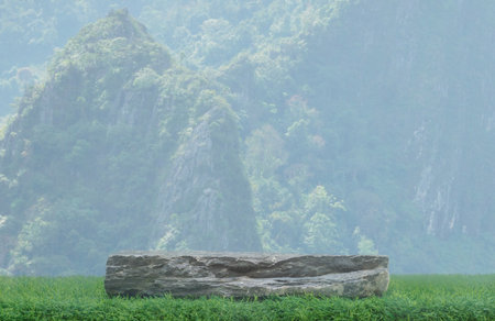 stone rock table top counter podium in outdoor tropical garden forest blurred green plant background with space.product present natural placement pedestal promotion display,spring and summer concept.の写真素材