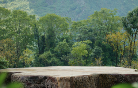 empty table top wood counter podium in outdoor tropical garden forest blurred green plant background with space.product present natural placement pedestal promotion display,spring and summer concept.の写真素材