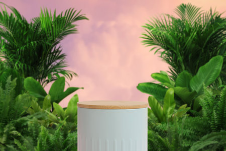 Wood podium outdoors tropical forest green plant pink pastel cloud sky blurred background.Beauty...