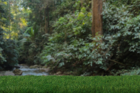 Grass table top podium floor outdoors blurred green tropical forest nature background.Beauty healthy natural product placement pedestal stand display,spring or summer jungle paradise.の写真素材
