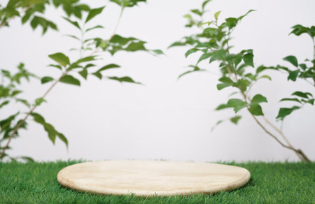 wood podium on grass with tree branch green leaf white space background.promotion beauty cosmetic...