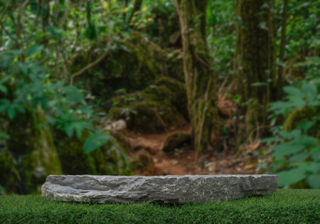 Stone podium tabletop on grass floor in outdoors fresh green tropical forest nature landscape background.Healthy natural product present placement pedestal stand display,spring summer jungle concept.の写真素材