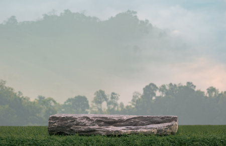 Stone podium tabletop on grass with outdoor forest mountain nature landscape background.Natural organic beauty cosmetic or healthy product placement pedestal display,spring summer concept.の写真素材