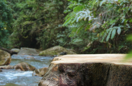 Wood table top podium floor in outdoor waterfall green tropical forest nature background.Natural water product present placement pedestal counter display, spring summer jungle paradise concept.の写真素材