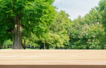 Wood tabletop podium floor in outdoors green leaf tropical forest nature landscape background.Organic healthy natural product present placement pedestal counter display,spring summer jungle concept.の写真素材