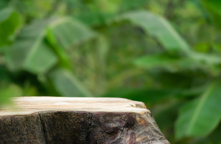 Wood tabletop podium floor in outdoors blur green banana leaf tropical forest nature landscape background.cosmetic natural product mock up placement pedestal stand display,jungle summer concept.の写真素材