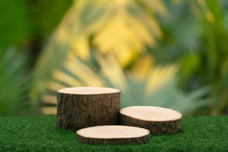 Wood tabletop podium floor in outdoors blur green tropical leaf tropical forest nature landscape background.cosmetic natural product mock up placement pedestal stand display,jungle summer concept.の写真素材