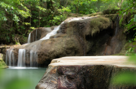 Wood table top podium floor in outdoor waterfall green tropical forest nature background.Natural water product present placement pedestal counter display, spring summer jungle paradise concept.の写真素材