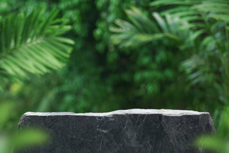 Stone podium tabletop floor outdoors blurred green leaf tropical forest plant nature background.Beauty cosmetic natural product placement pedestal display,jungle summer concept.の写真素材