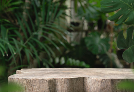 Wood tabletop podium floor in outdoors blur green leaf tropical forest nature landscape background.cosmetic natural product mock up placement pedestal stand display,jungle summer concept.の写真素材